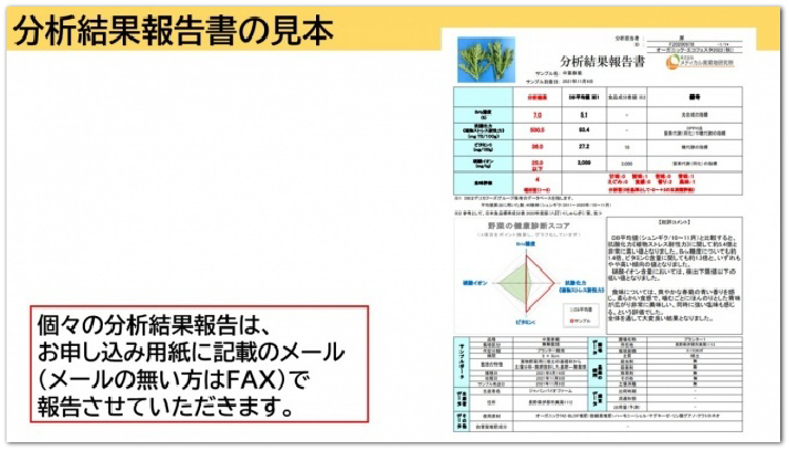 分析結果報告書の見本