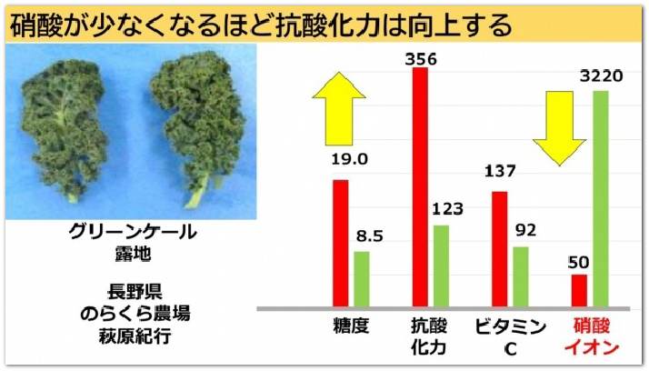 硝酸が少なくなるほど抗酸化力は向上する