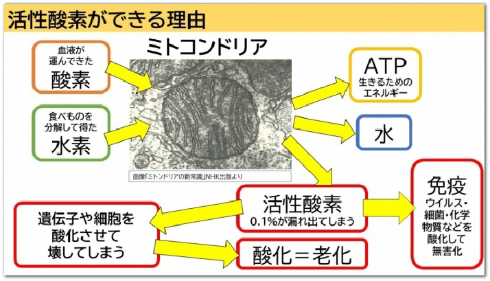 活性酸素ができる理由