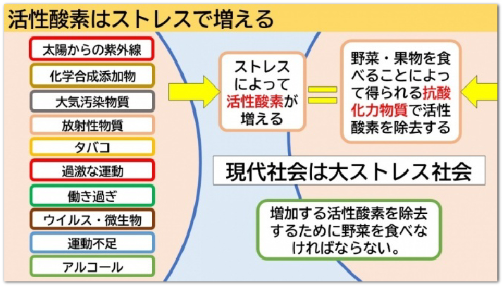 活性酸素はストレスで増える