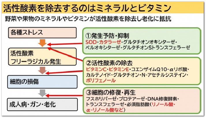 活性酸素を除去するのはミネラルとビタミン